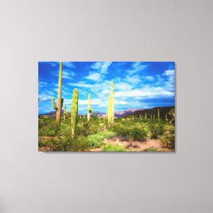 Ökenkaktuslandskap, Arizona Canvastryck