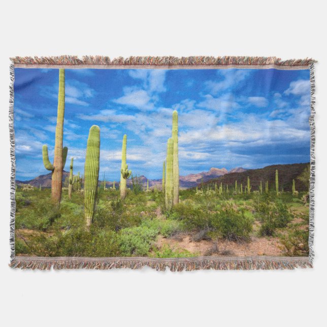 Ökenkaktuslandskap, Arizona Filt (Framsidan)