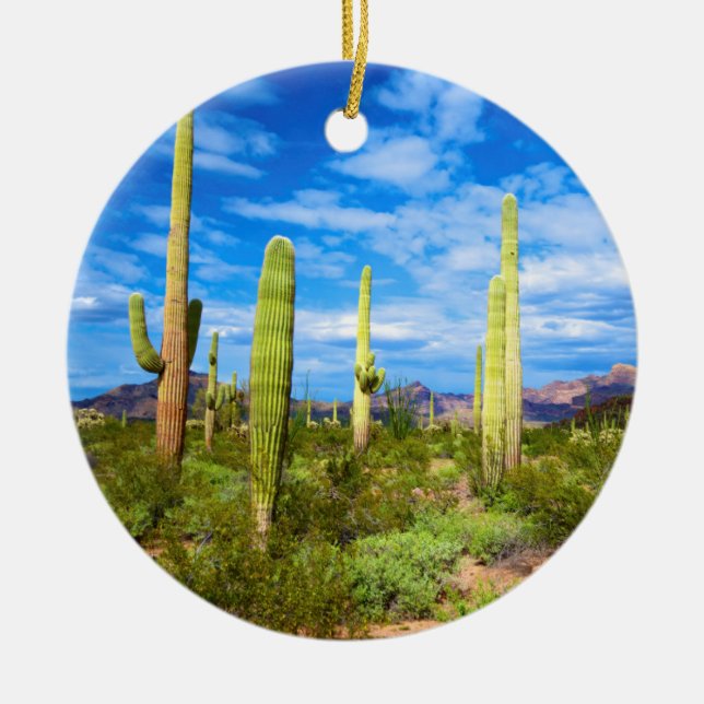 Ökenkaktuslandskap, Arizona Julgransprydnad Keramik (Framsidan)