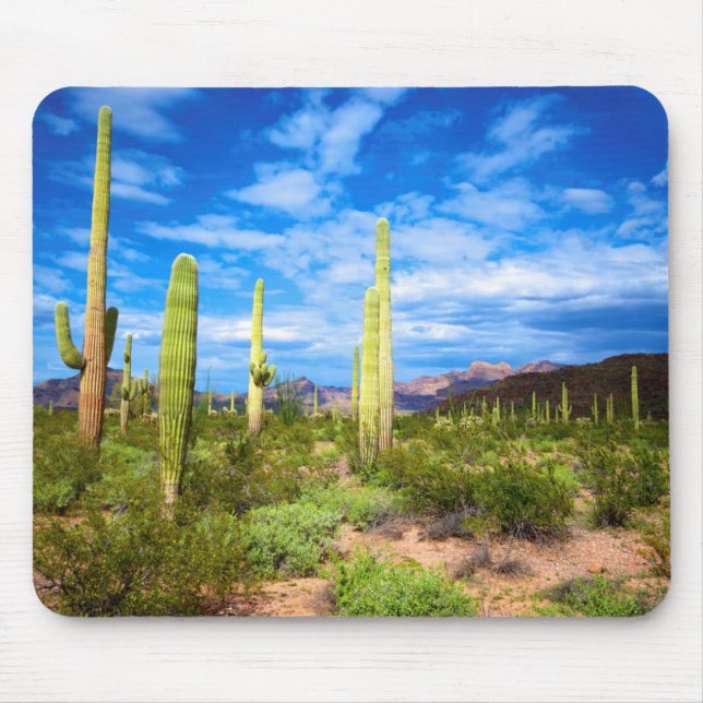 Ökenkaktuslandskap, Arizona Musmatta (Framsidan)