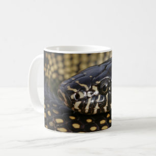 ÖkenKingsnake mugg
