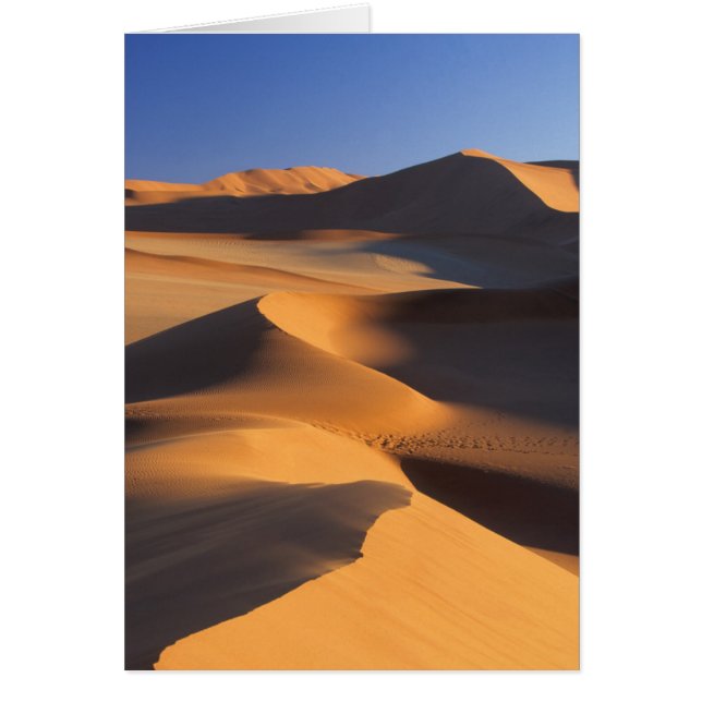 Ökenklitter, Sossusvlei, Namib-Naukluft Hälsningskort (Framsidan)