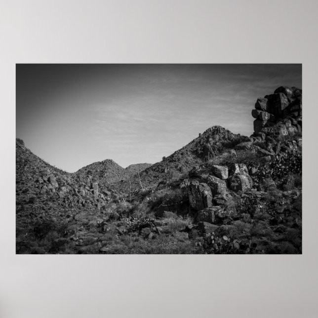 ökenlandskap med graffiti poster (Framsidan)