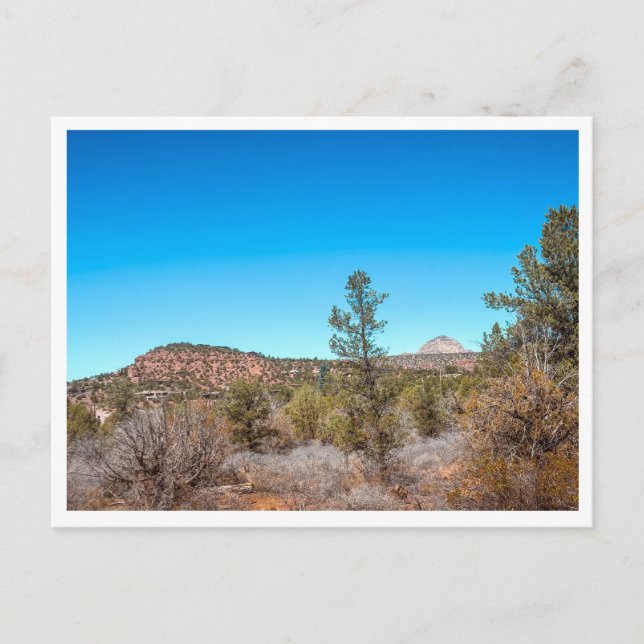 ökenlandskap vykort (Framsida)