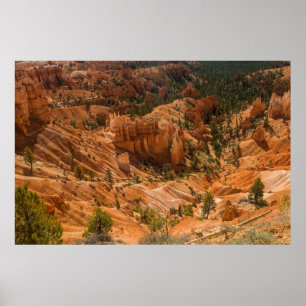 Ökenlandskapet i Bryce Canyons nationalpark med Poster