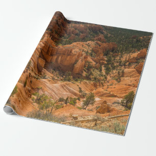 Ökenlandskapet i Bryce Canyons nationalpark med Presentpapper