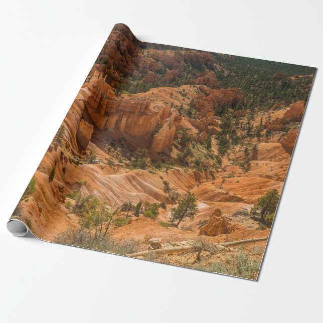 Ökenlandskapet i Bryce Canyons nationalpark med Presentpapper (Utrullad)