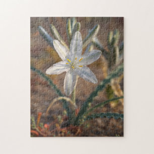 Ökenlilja vilda blommor pussel