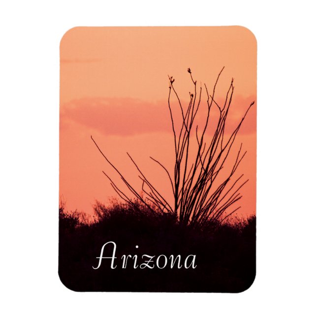ökennätter i Arizona Magnet (Vertikal)