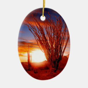 ÖkenOcotilloSonora Arizona Julgransprydnad Keramik