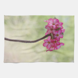 Ökenros i rosa kökshandduk