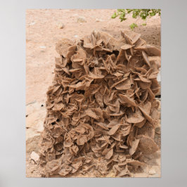 Ökenros. Tunisien. Poster