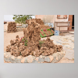 Ökenros. Tunisien. Poster