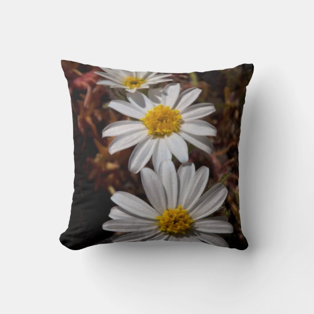 Ökenstjärna vilda blommor kudde (Framsida)