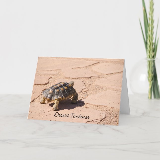ÖkenTortoise Blank Greeting Card Kort (Framsida)