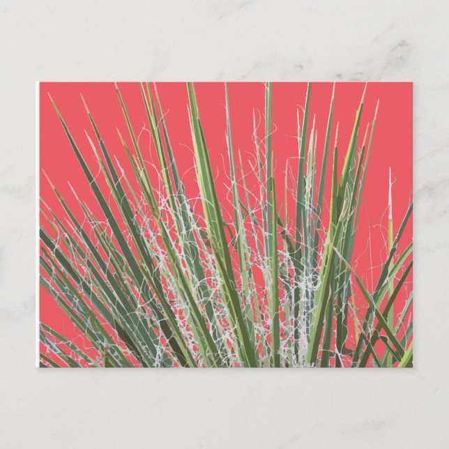 Ökenväxt Trädgårds vykort (Framsida)