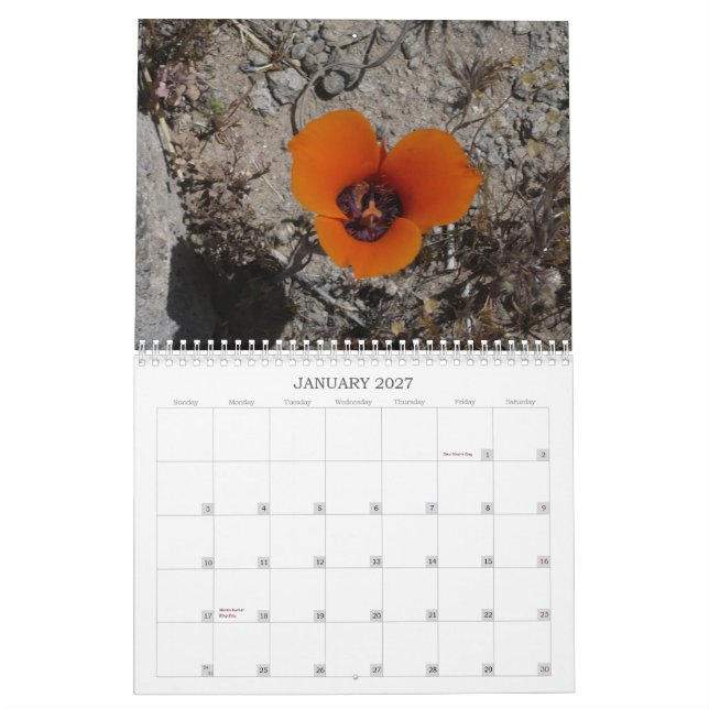 Ökenvildblommar Calander Kalender (Jan 2027)