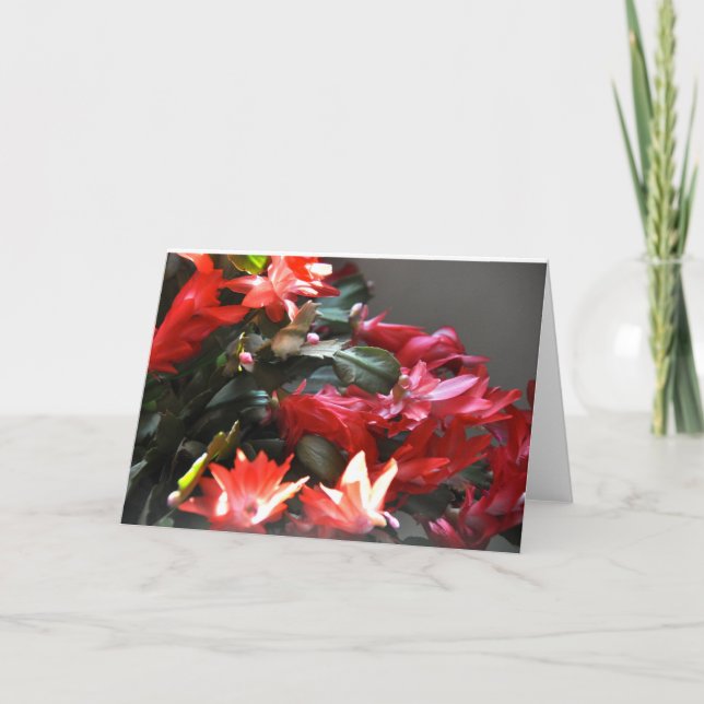 Ökenvinter för helgkort (Framsida)