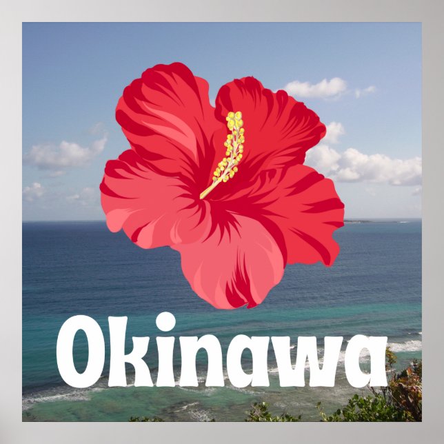 Okinawa Scenia View & Hibiscus Poster (Framsidan)