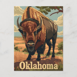Oklahoma Bison Vintage Vykort