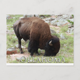Oklahoma Bison vykort