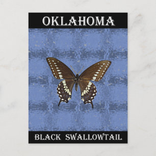 Oklahoma Black Swallowtail Butterfly Vykort