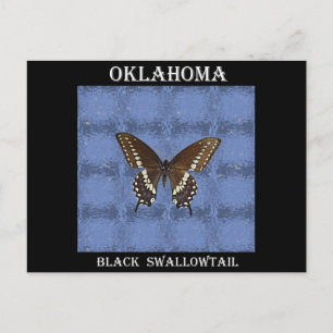 Oklahoma Black Swallowtail Butterfly Vykort