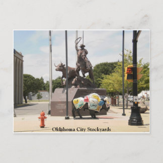 Oklahoma City Stockyards buffalo och cowboyen Vykort