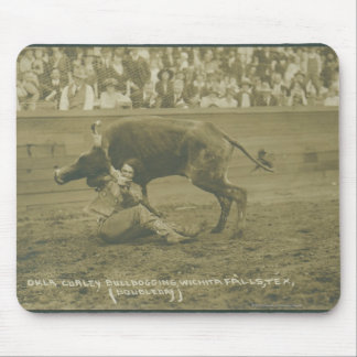 Oklahoma Culy bulldogging. Musmatta