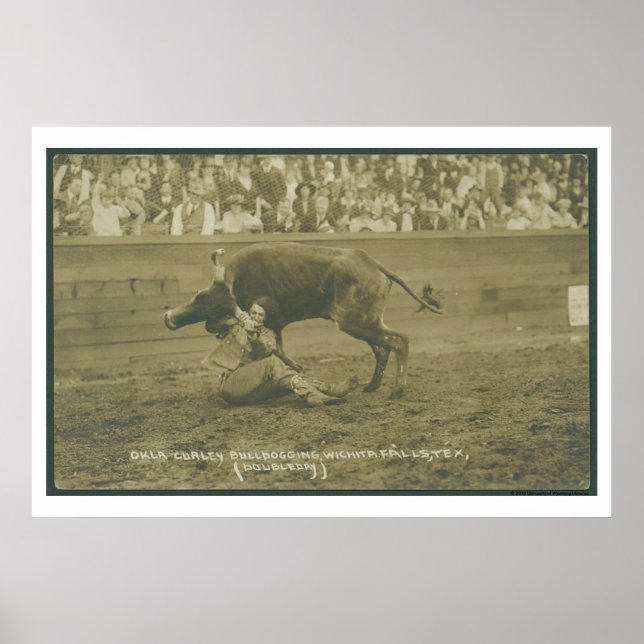 Oklahoma Culy-bulldoggning. Poster (Framsidan)