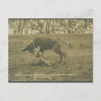 Oklahoma Culy-bulldoggning. Vykort