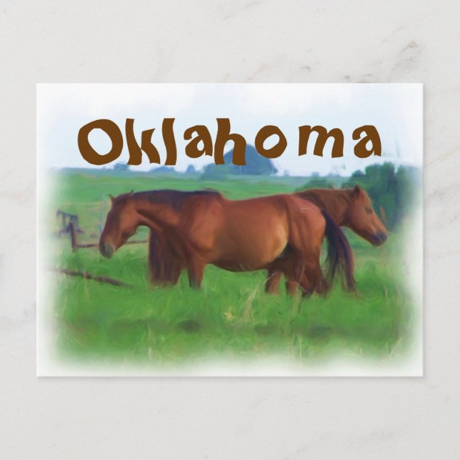 Oklahoma hästar 2 vykort (Framsida)