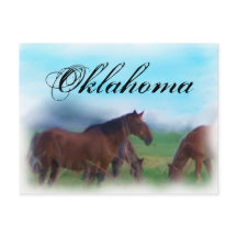 Oklahoma hästar