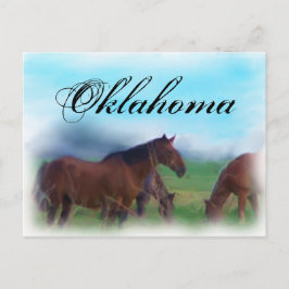 Oklahoma hästar vykort