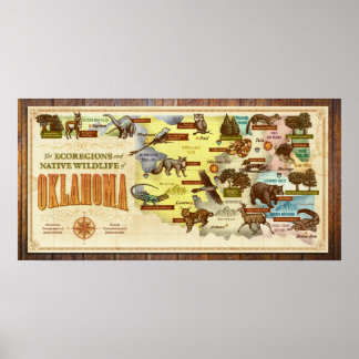 Oklahoma Karta: Ecoregions & Native Wildlife Poster