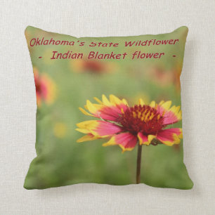 Oklahoma kudder den statliga vildblomman kudde