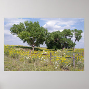 Oklahoma land poster