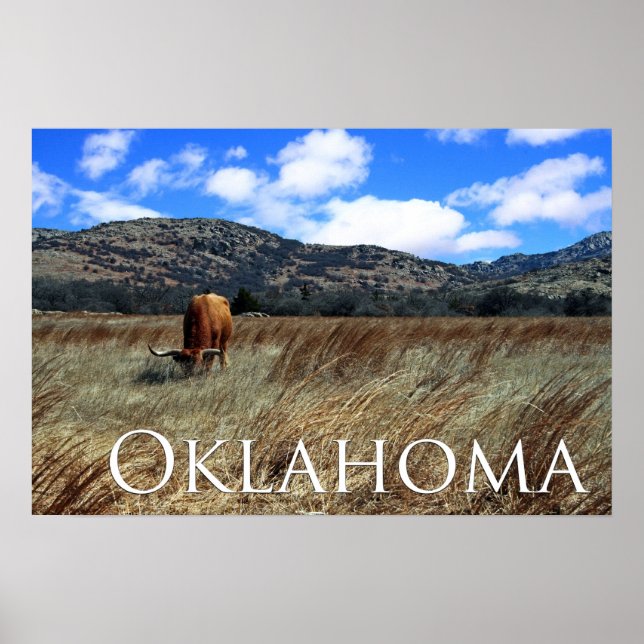 Oklahoma Prairie Skriv ut Poster (Framsidan)