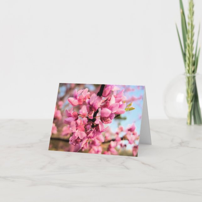 Oklahoma Redbud noterar kortet Kort (Framsida)