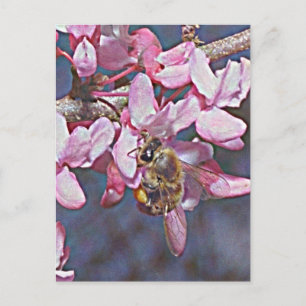 Oklahoma Redbud och Honeybee Vykort