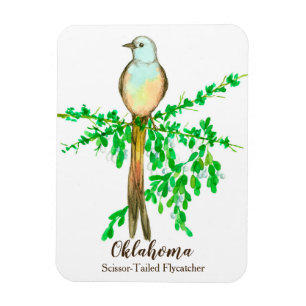 Oklahoma Scissor Tails Fly Catcher Bird Magnet