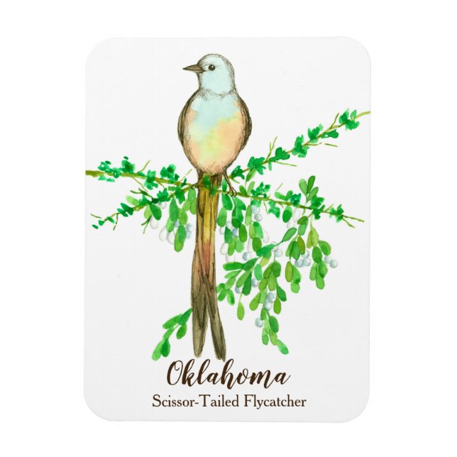 Oklahoma Scissor Tails Fly Catcher Bird Magnet (Vertikal)