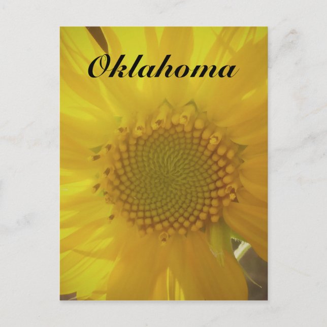 Oklahoma Solrovykort Vykort (Framsida)