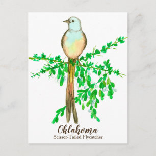 Oklahoma State Bird Scissor Tails Flycatcher Vykort
