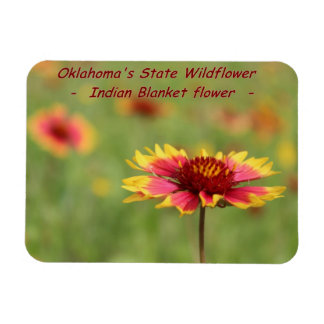 Oklahoma State WildblomMagnet Magnet