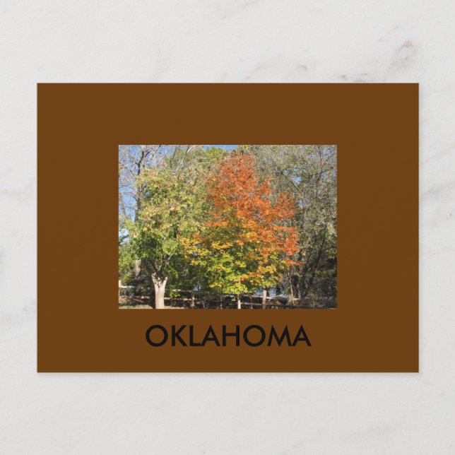 OKLAHOMA VYKORT (Framsida)