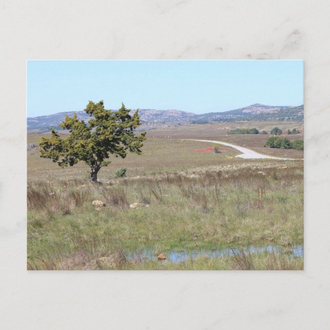 Oklahomas Witchita Wildlife Refuge Vykort (Framsida)