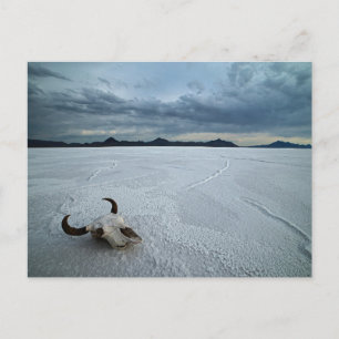 Öknar Bonneville Salt Flats Utah Vykort
