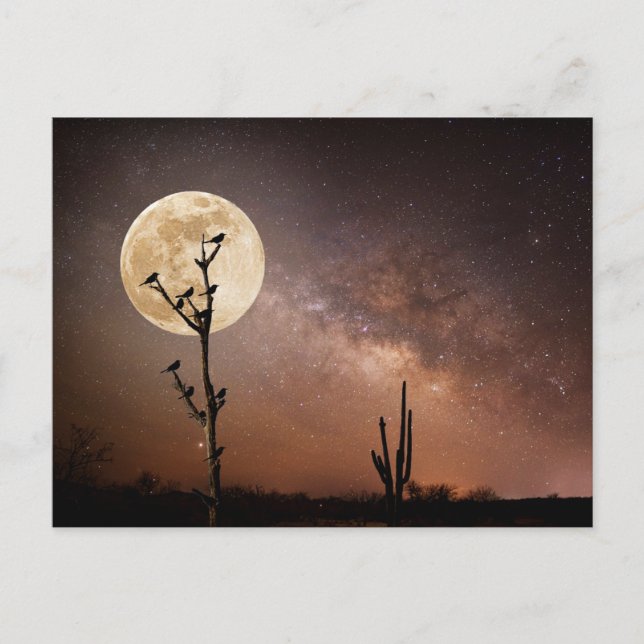 Öknar | Saguaro Cactus Med Fåglar i Öken Vykort (Framsida)