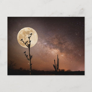 Öknar Saguaro Cactus Med Fåglar i Öken Vykort